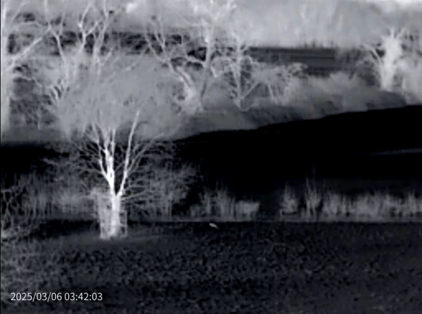 Thermal Master DV2 Thermal Camera Touchscreen