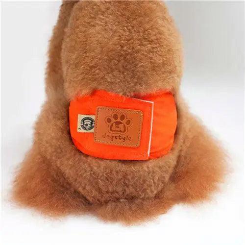 Quality Male Pet dog Physiological Pants Boy Puppy - BelleHarris