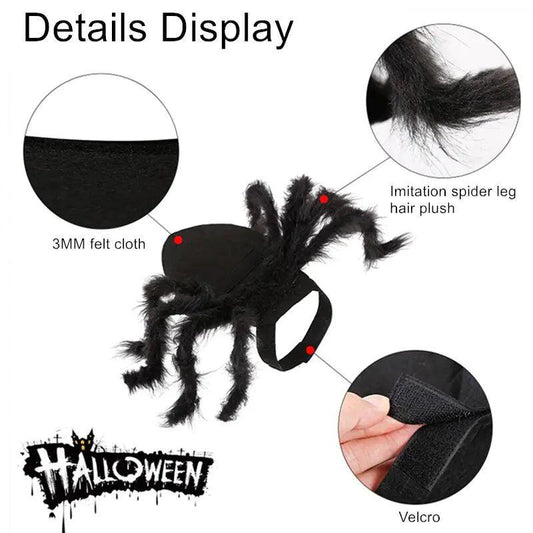 Spider Costume for Pets - BelleHarris