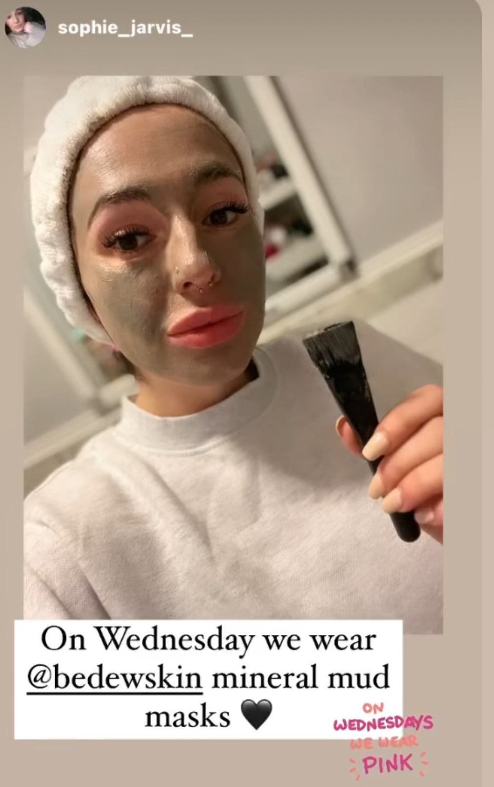The Mineral Mud Mask