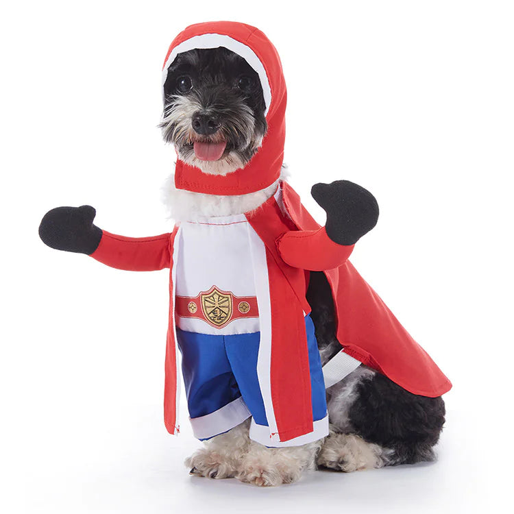 Dog Costumes