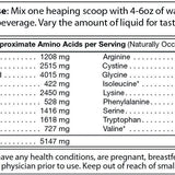 Absolute Whey – Chocolate - BelleHarris