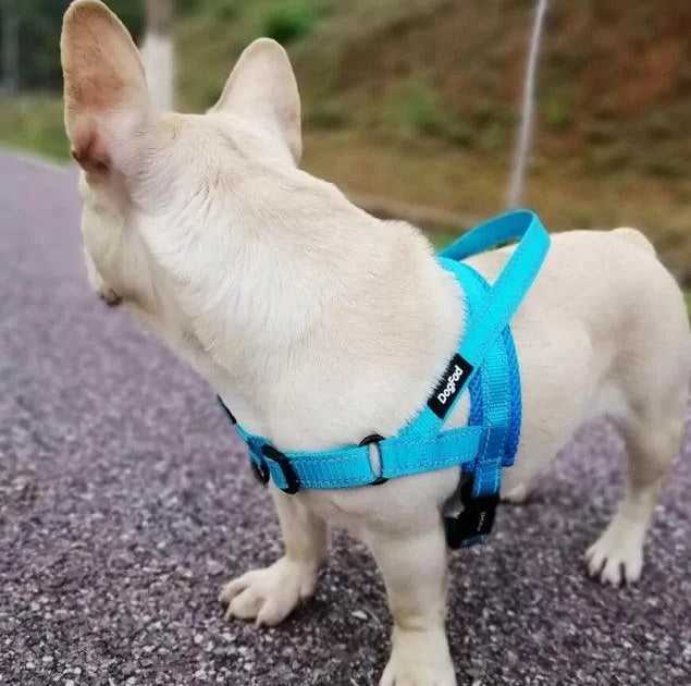 Adjustable Dog Harness- Belleharris - BelleHarris