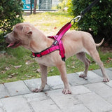 Adjustable Dog Harness- Belleharris - BelleHarris