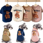 Bear Embrace Pullover- Affordable pet clothes - BelleHarris