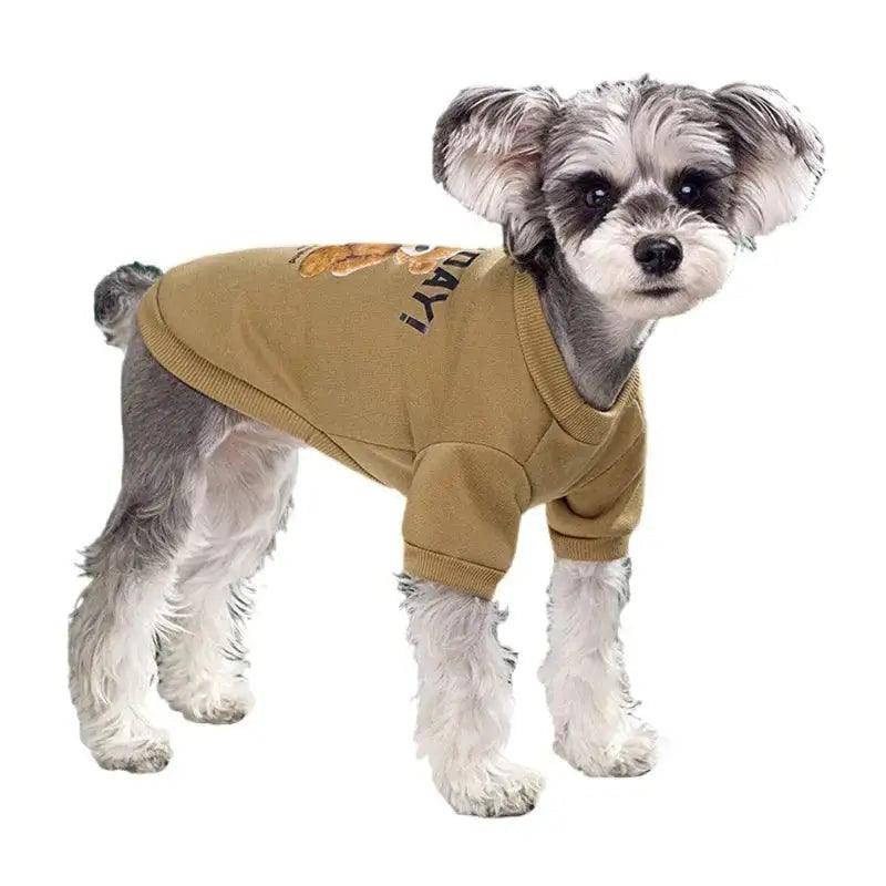 Bear Embrace Pullover- Affordable pet clothes - BelleHarris