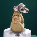 Bear Embrace Pullover- Affordable pet clothes - BelleHarris