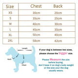 Bear Embrace Pullover- Affordable pet clothes - BelleHarris