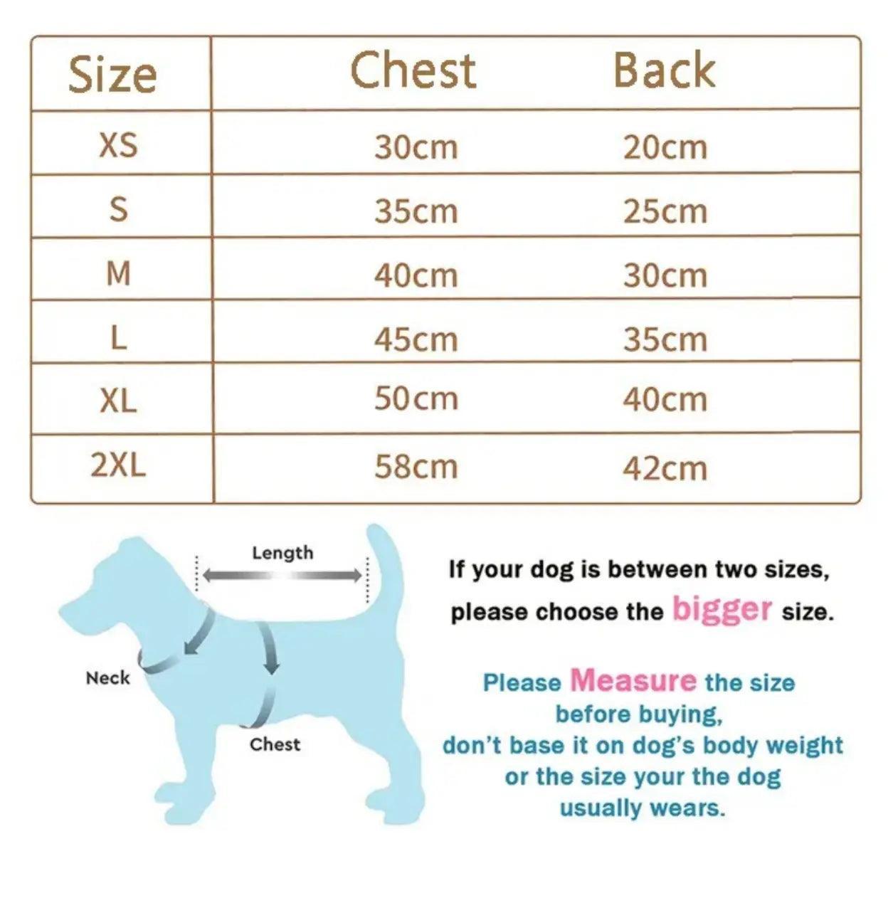 Bear Embrace Pullover- Affordable pet clothes - BelleHarris