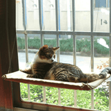 Cat Window Bed - BelleHarris