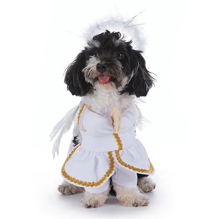 Dog Costumes