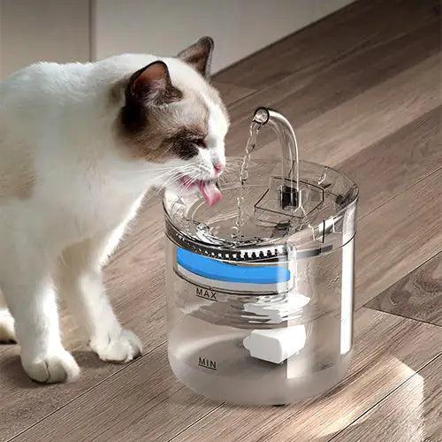 Drinking Bowl Auto Drinking Filter for Pets - BelleHarris