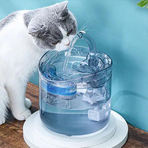Drinking Bowl Auto Drinking Filter for Pets - BelleHarris