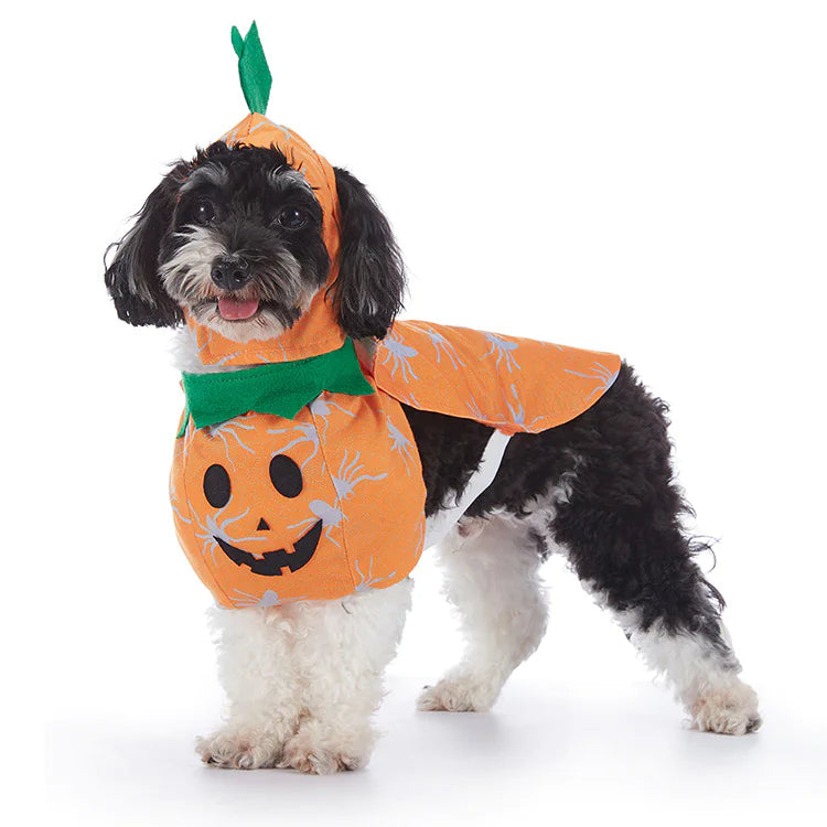 Dog Costumes