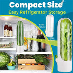 Herb Saver: Freshness Container For Kitchen - BelleHarris