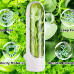 Herb Saver: Freshness Container For Kitchen - BelleHarris