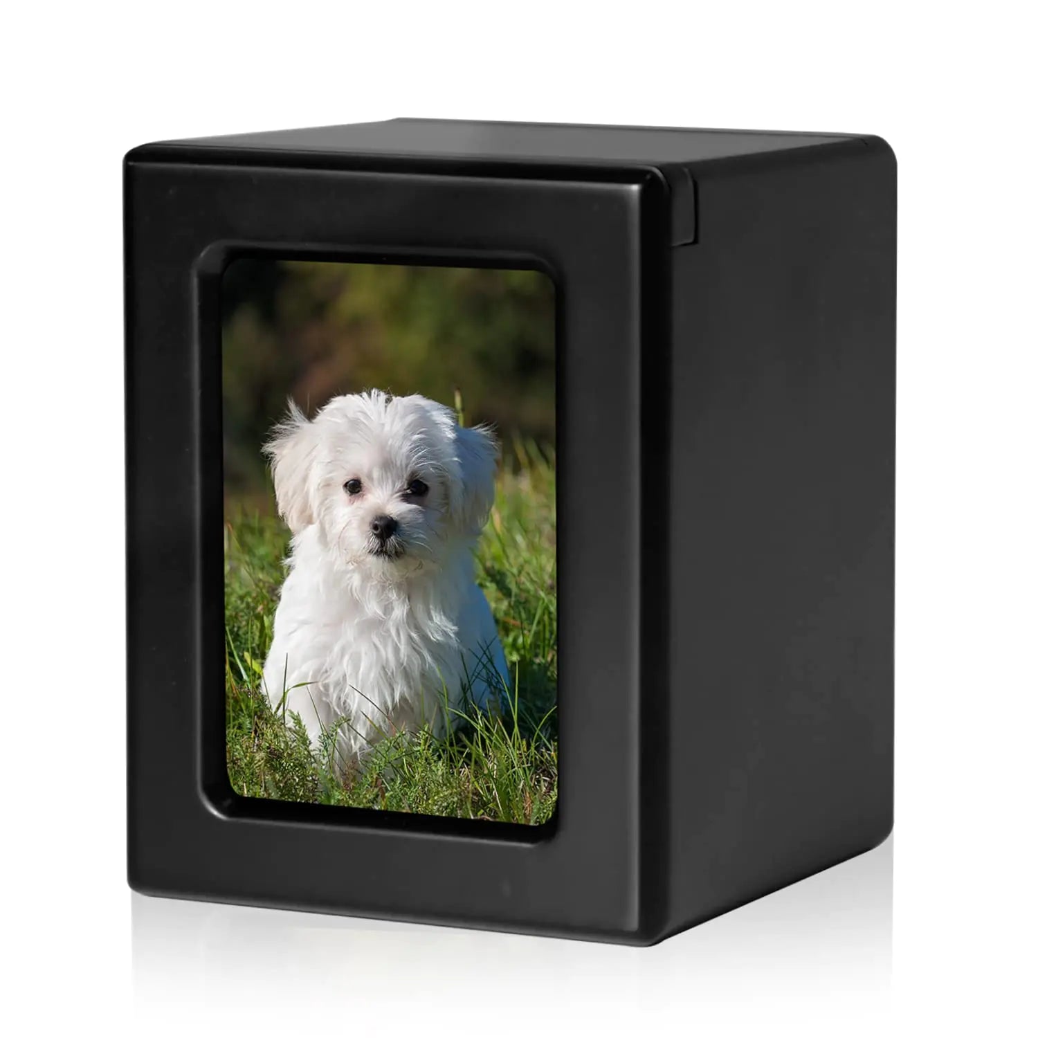 Pet urns personalized 
