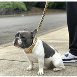 Kilo Cuban Link | Leash - BelleHarris