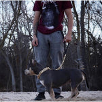 Kilo Cuban Link | Leash - BelleHarris