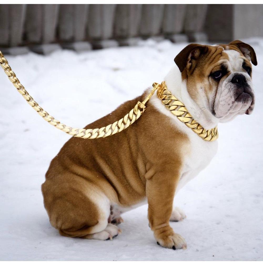 Kilo Cuban Link | Leash - BelleHarris