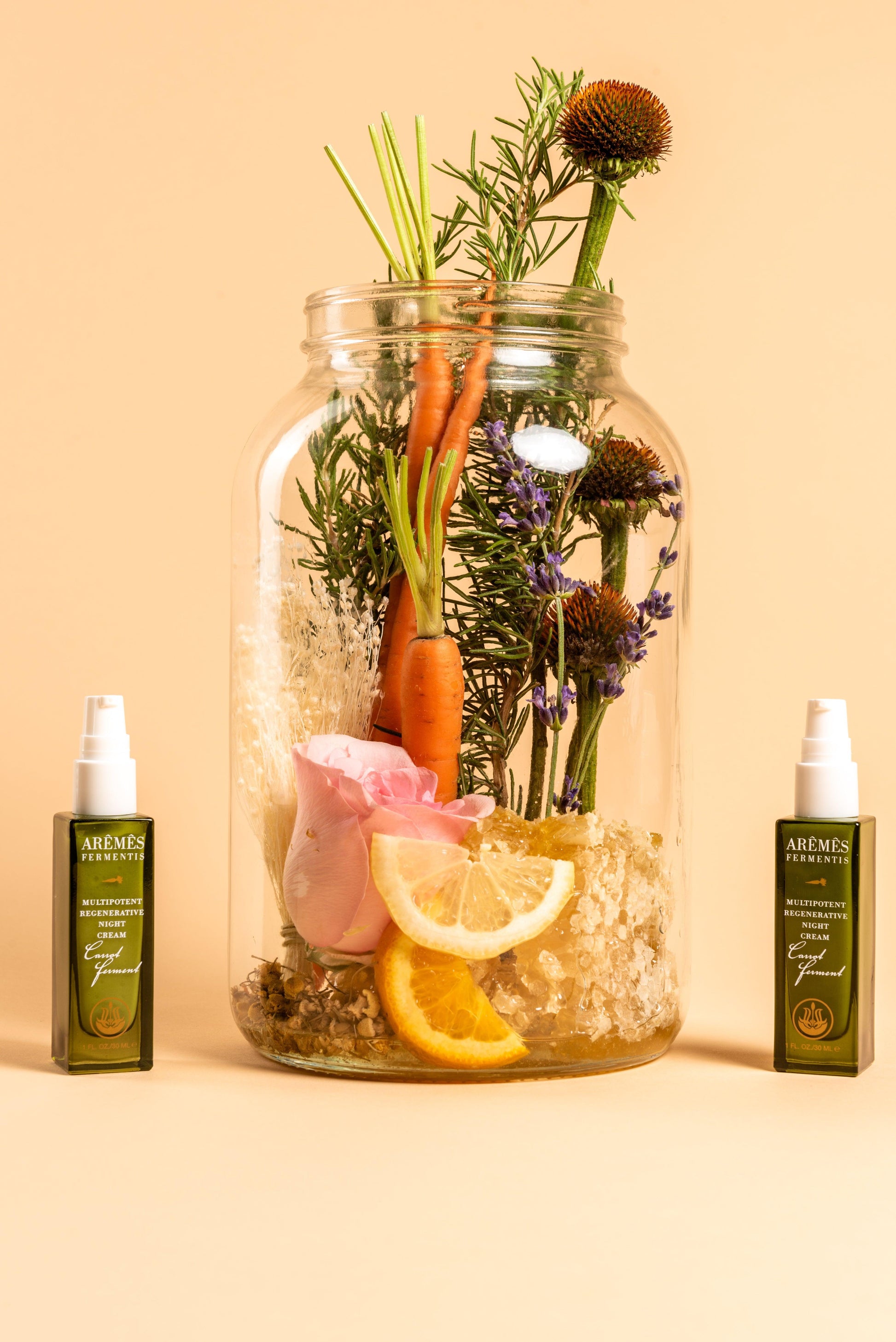 Multipotent Regenerative Night Cream - BelleHarris