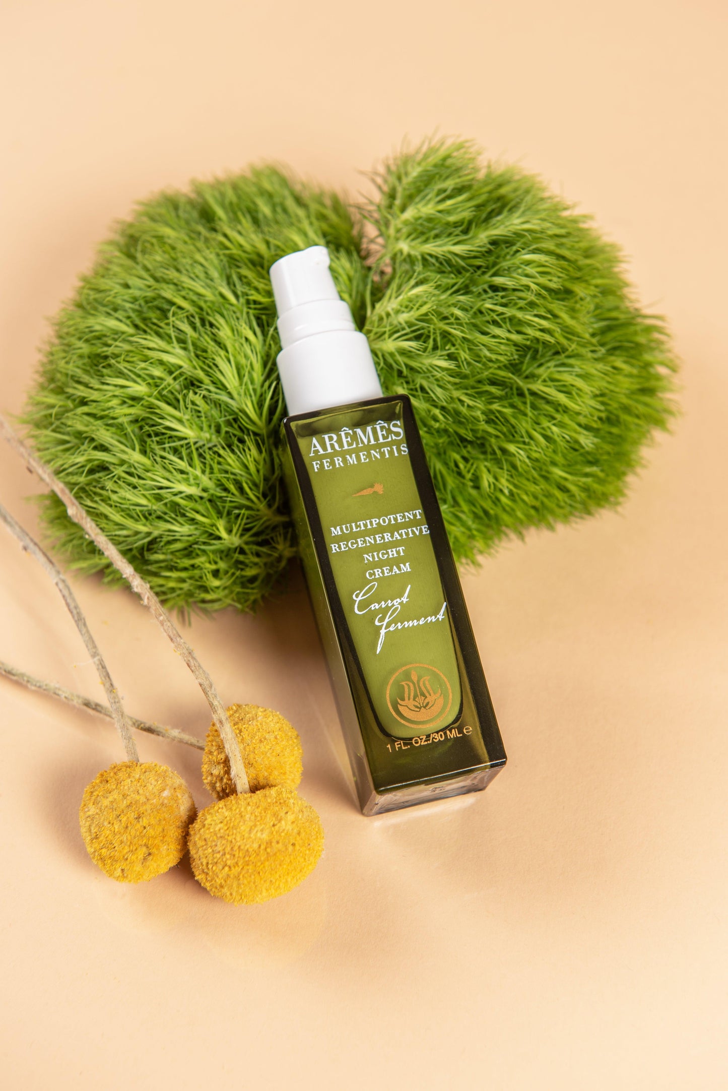 Multipotent Regenerative Night Cream - BelleHarris