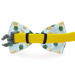 My Tribe Turquoise Dog Bow Tie - BelleHarris