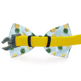 My Tribe Turquoise Dog Bow Tie - BelleHarris