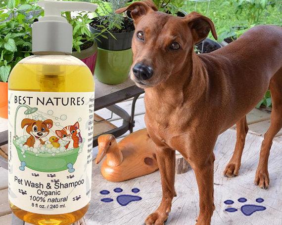 Organic Pet Wash and Shampoo for our Furry Friends - BelleHarris