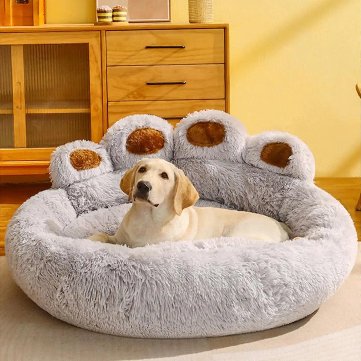 Pet Dog Sofa Beds - BelleHarris
