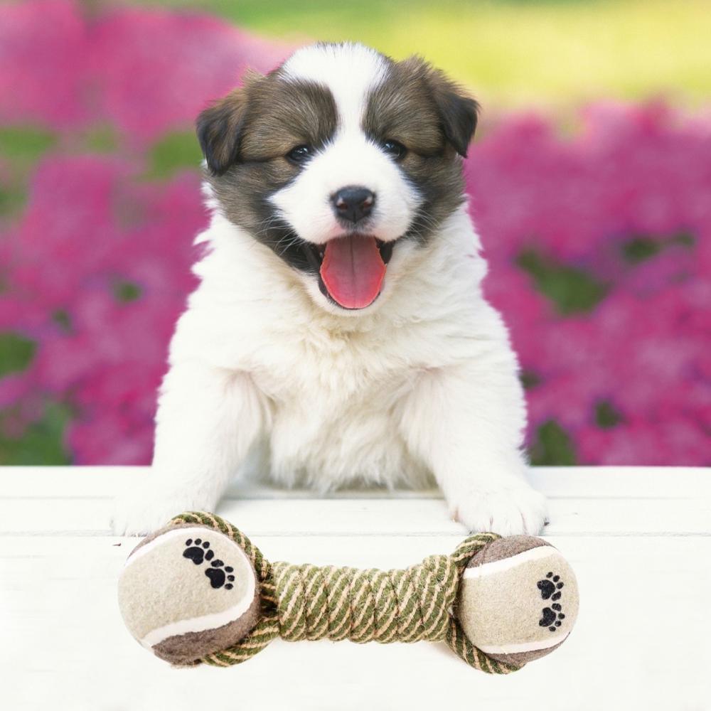 Pet Dog Toys For Large Small Dogs Toy Interactive Cotton Rope Mini Dog - BelleHarris