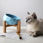 Purr-fect cat bowl - BelleHarris