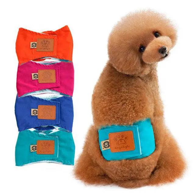 Quality Male Pet dog Physiological Pants Boy Puppy - BelleHarris