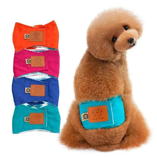 Quality Male Pet dog Physiological Pants Boy Puppy - BelleHarris
