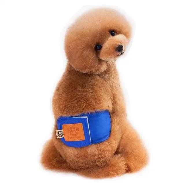 Quality Male Pet dog Physiological Pants Boy Puppy - BelleHarris