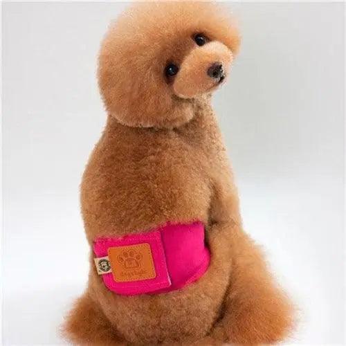 Quality Male Pet dog Physiological Pants Boy Puppy - BelleHarris