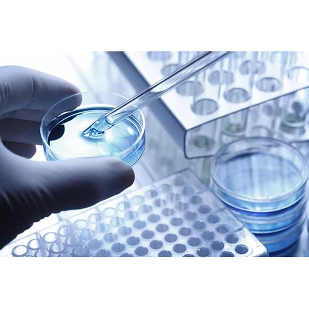 Quality Pet accessories- Instachew PETKIT Air Magicube Smart Odor Eliminator - BelleHarris