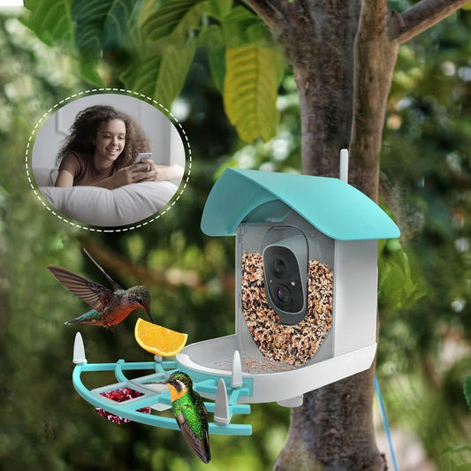Smart Bird Feeder With Camera, AI Identify Bird Species & Solar Panel, - BelleHarris