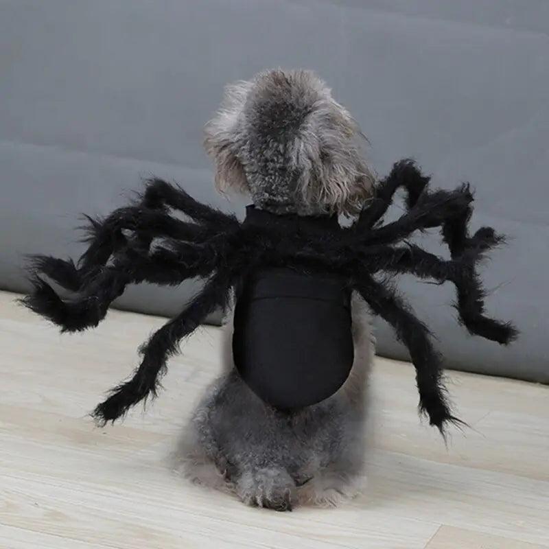 Spider Costume for Pets - BelleHarris