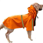 Spring and Summer Dog Raincoat - BelleHarris