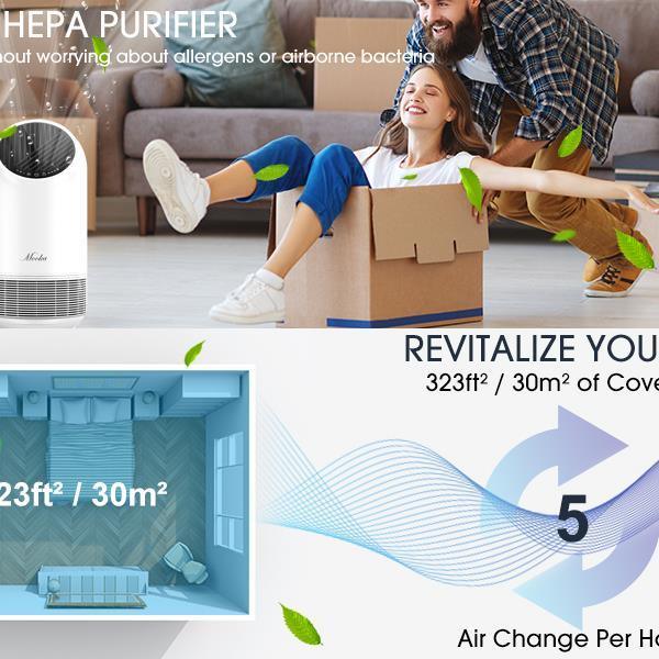 True HEPA Air Purifierfor Home 360° Deep Purification - BelleHarris