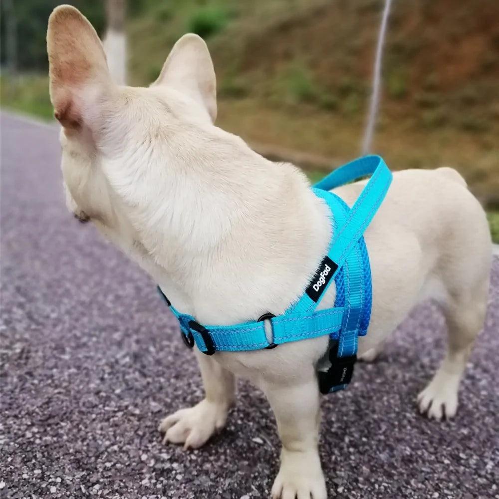 Adjustable Dog Harness- Belleharris - BelleHarris
