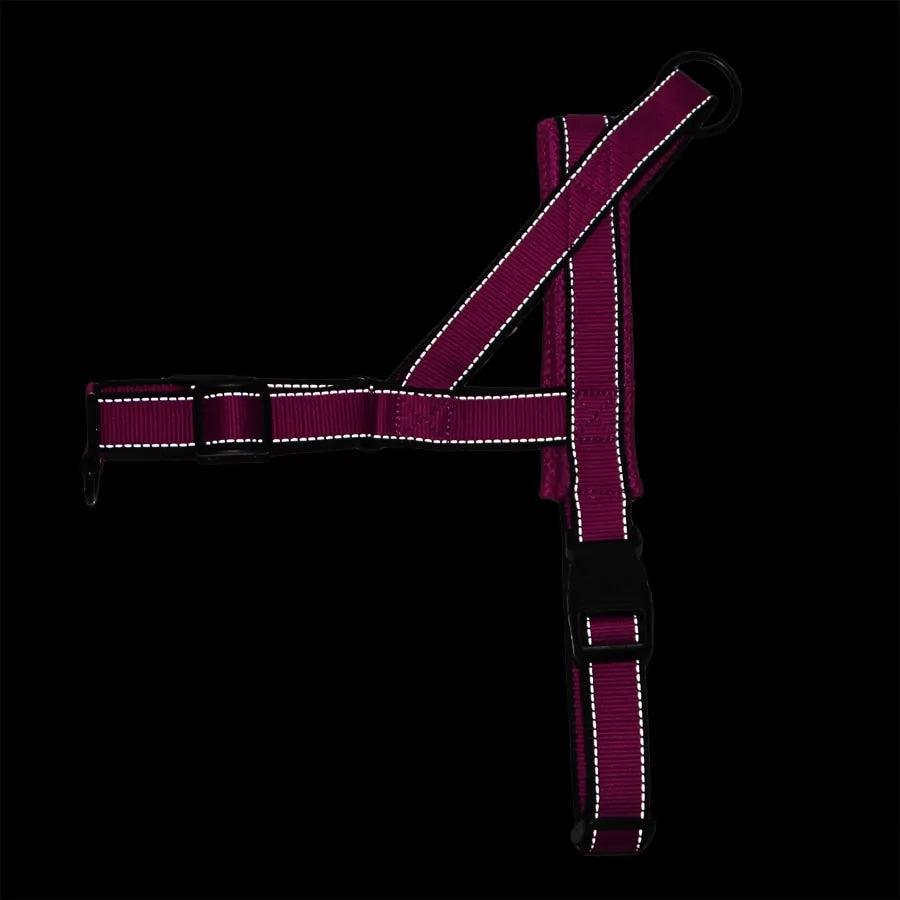 Adjustable Dog Harness- Belleharris - BelleHarris