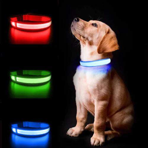 Luminous AirTag Collar - BelleHarris