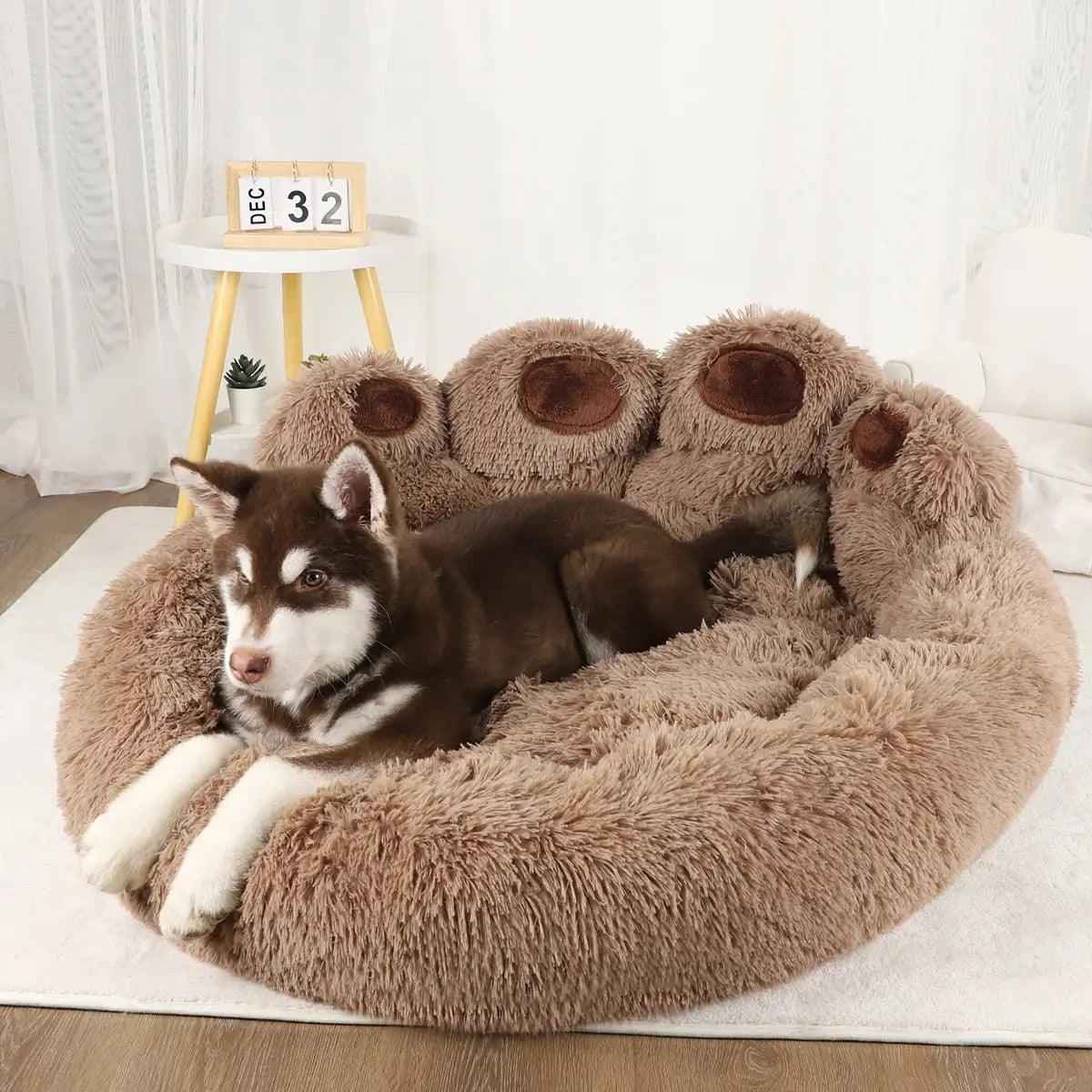 Pet Dog Sofa Beds - BelleHarris