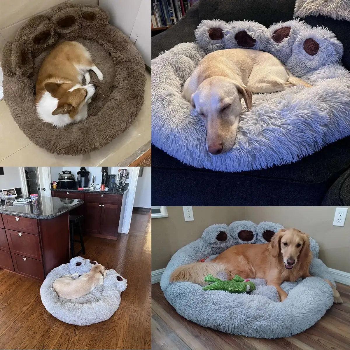 Pet Dog Sofa Beds - BelleHarris