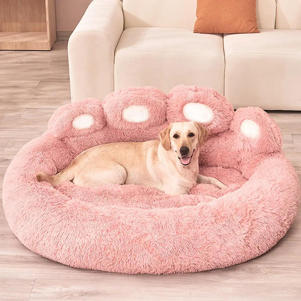 Pet Dog Sofa Beds - BelleHarris