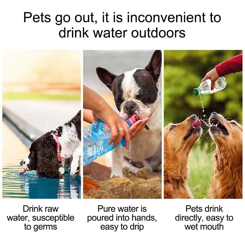 Pet Travel Water Bottle - BelleHarris