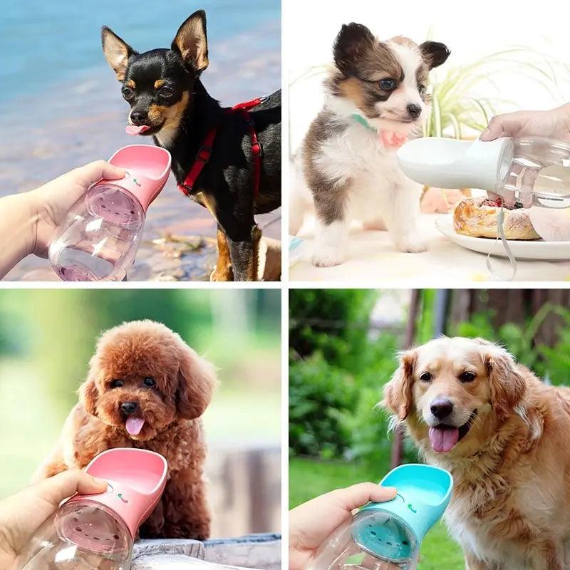 Pet Travel Water Bottle - BelleHarris