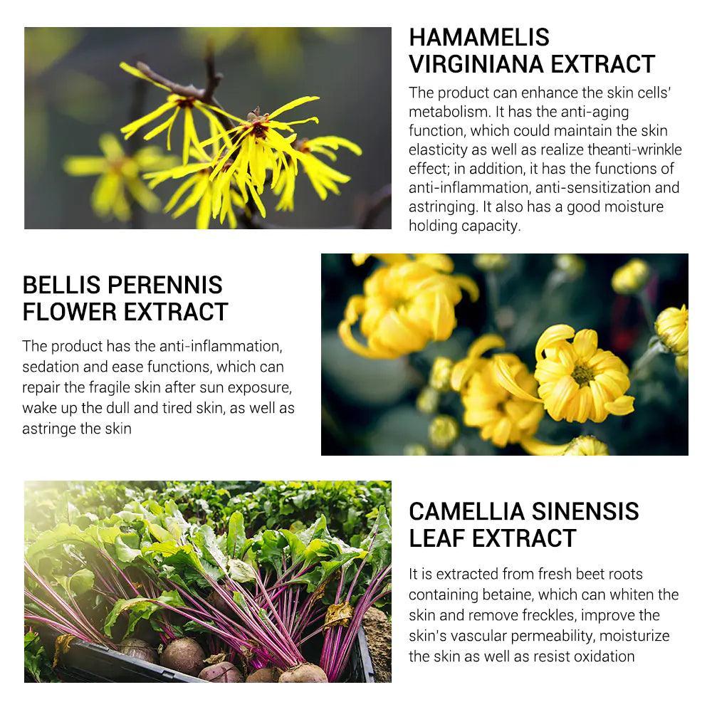 Pore Treatment Serum - BelleHarris